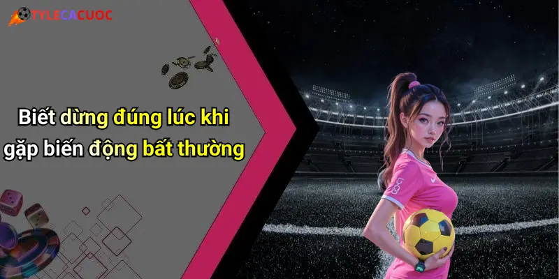 Biết dừng đúng lúc khi gặp biến động bất thường