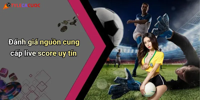 Đánh giá nguồn cung cấp live score uy tín