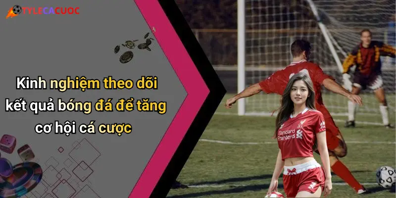 Kết Quả Bóng Đá: Tỷ Lệ Cá Cược Hấp Dẫn Và Xu Hướng Hot 32 Kinh nghiệm theo dõi kết quả bóng đá để tăng cơ hội cá cược