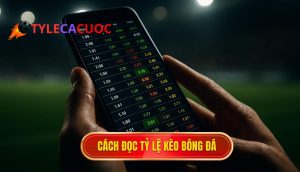 Cách đọc tỷ lệ kèo bóng đá