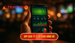 app xem tỷ lệ cá cược bóng đá